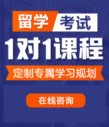 大骚鸡巴电工操贱货骚逼留学考试一对一精品课